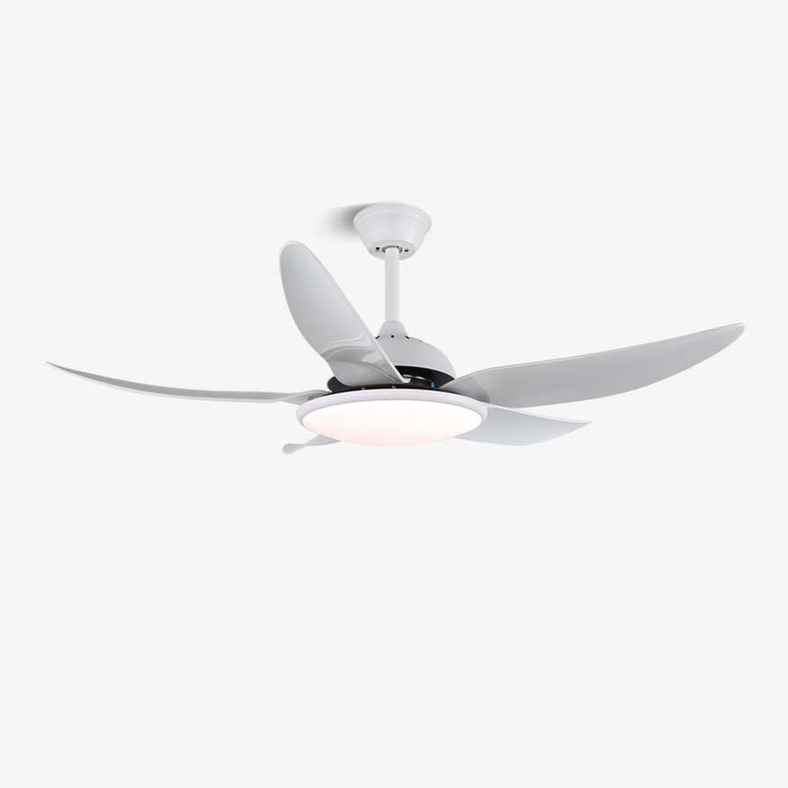 Aquila ventilador de techo con luz moderno