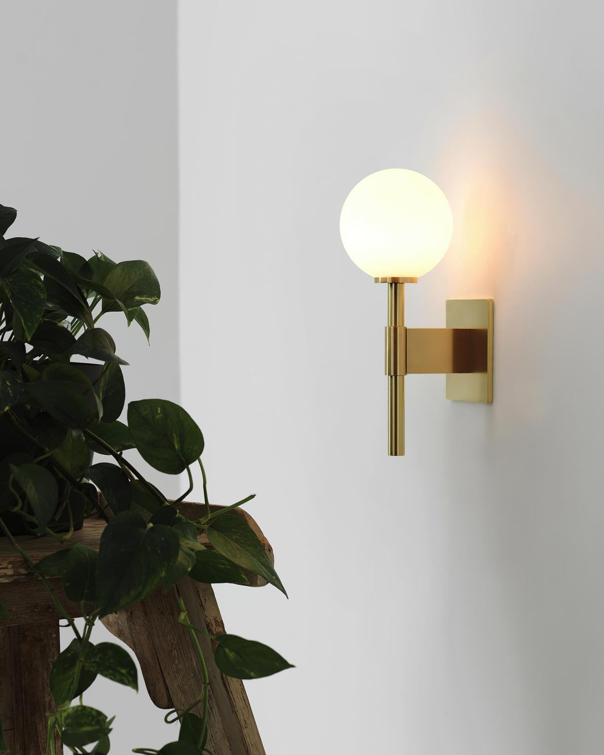 Veleneria aplique de pared