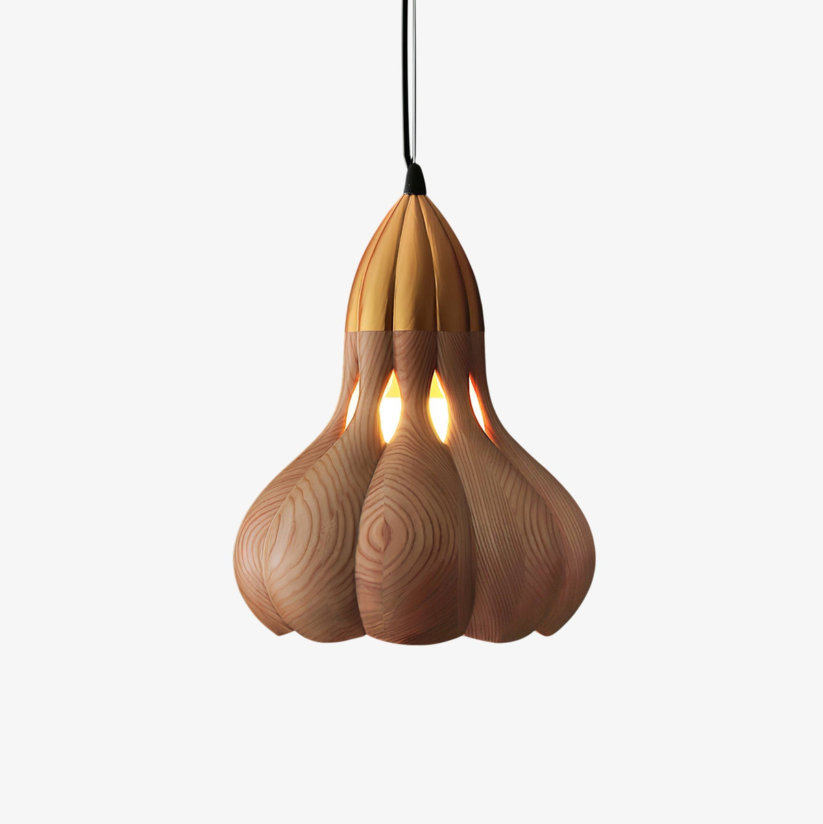 Arraeion lámpara colgante Individual Creatividad de madera