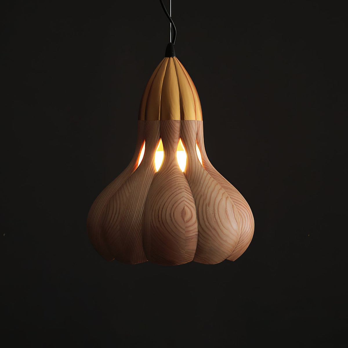 Arraeion lámpara colgante Individual Creatividad de madera