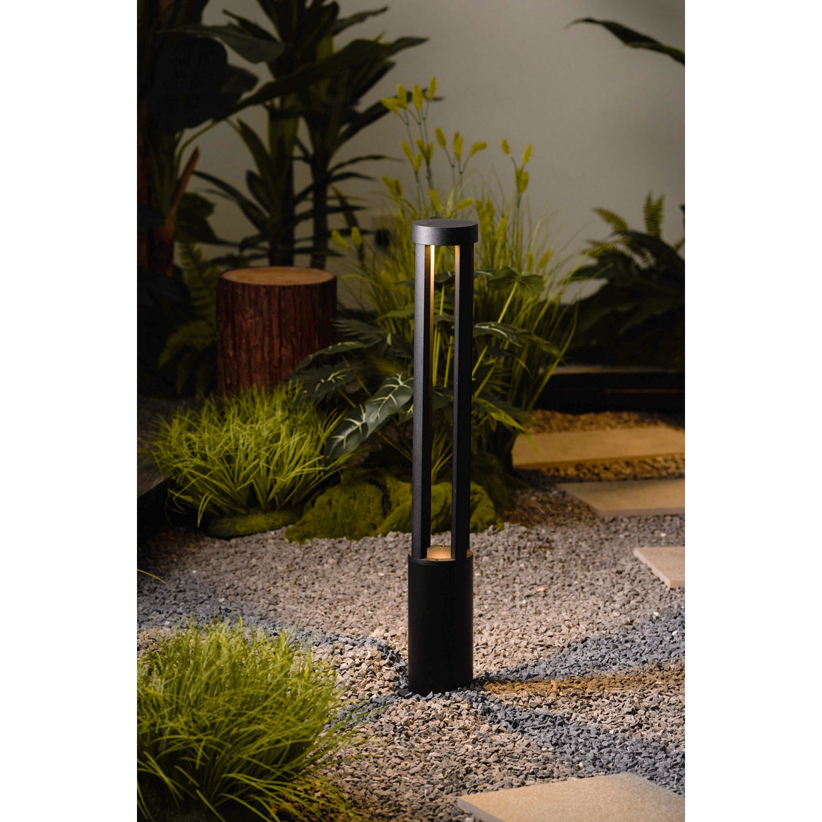 Noreiella luminaria exterior