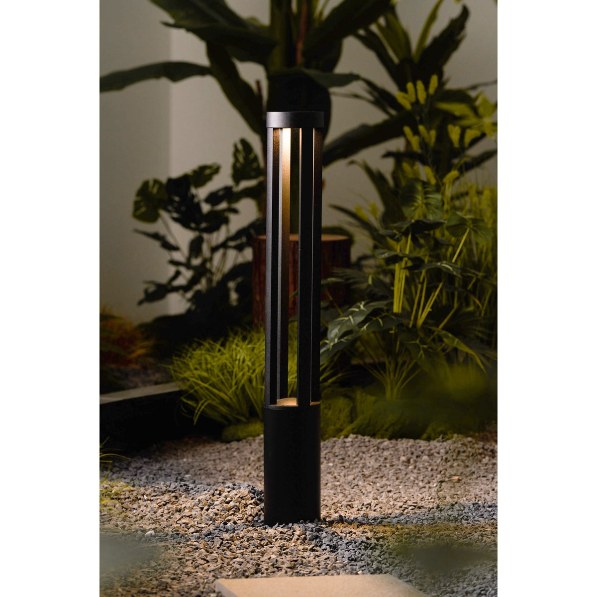 Noreiella luminaria exterior