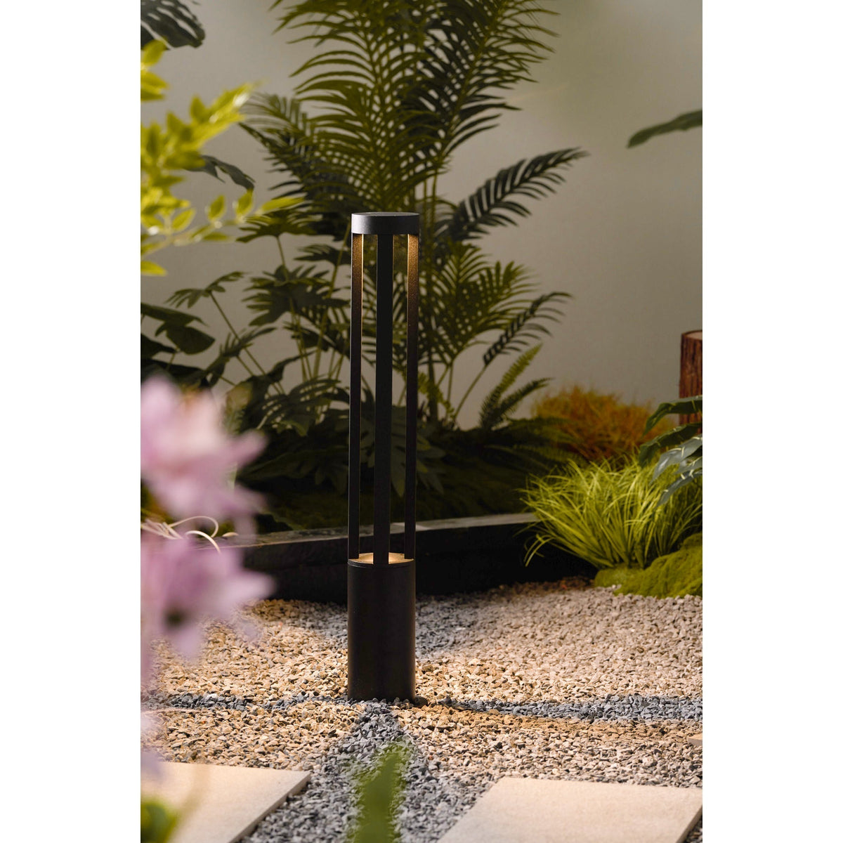 Noreiella luminaria exterior