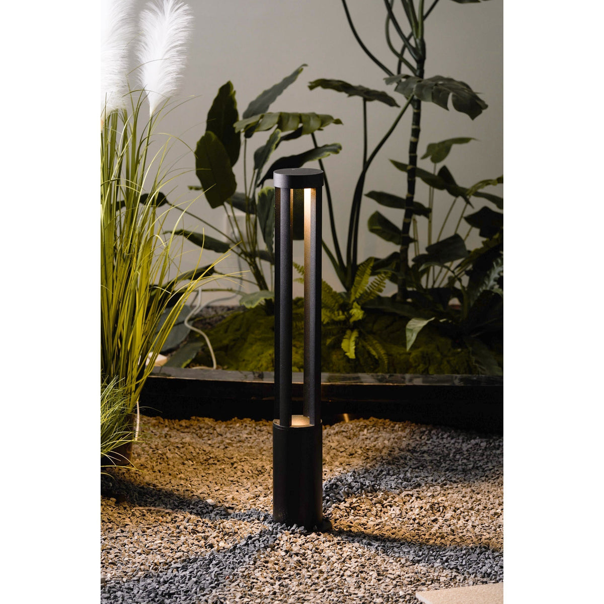 Noreiella luminaria exterior
