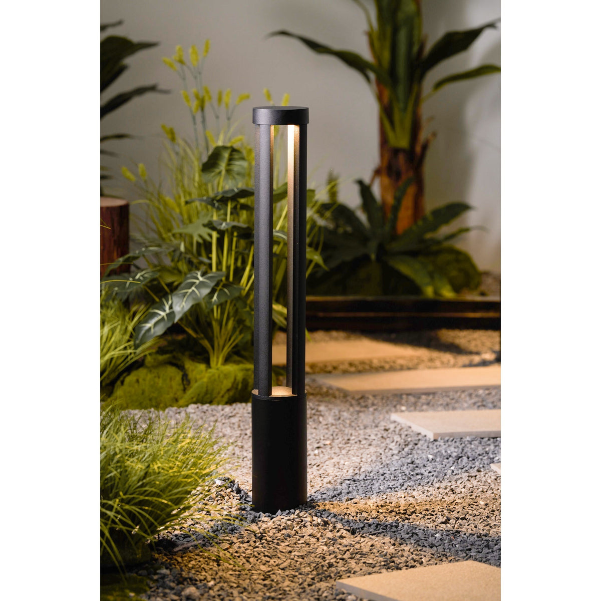 Noreiella luminaria exterior