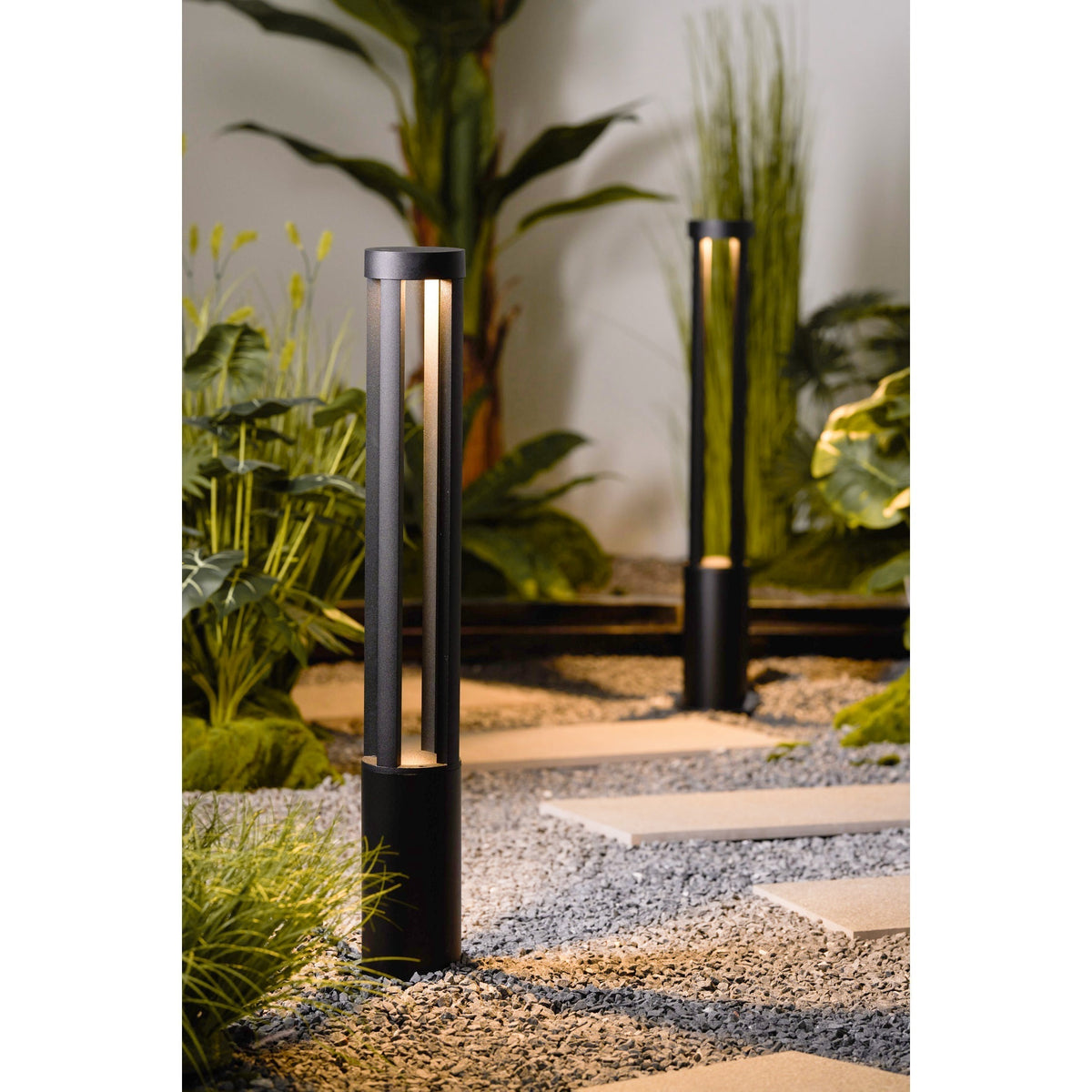 Noreiella luminaria exterior