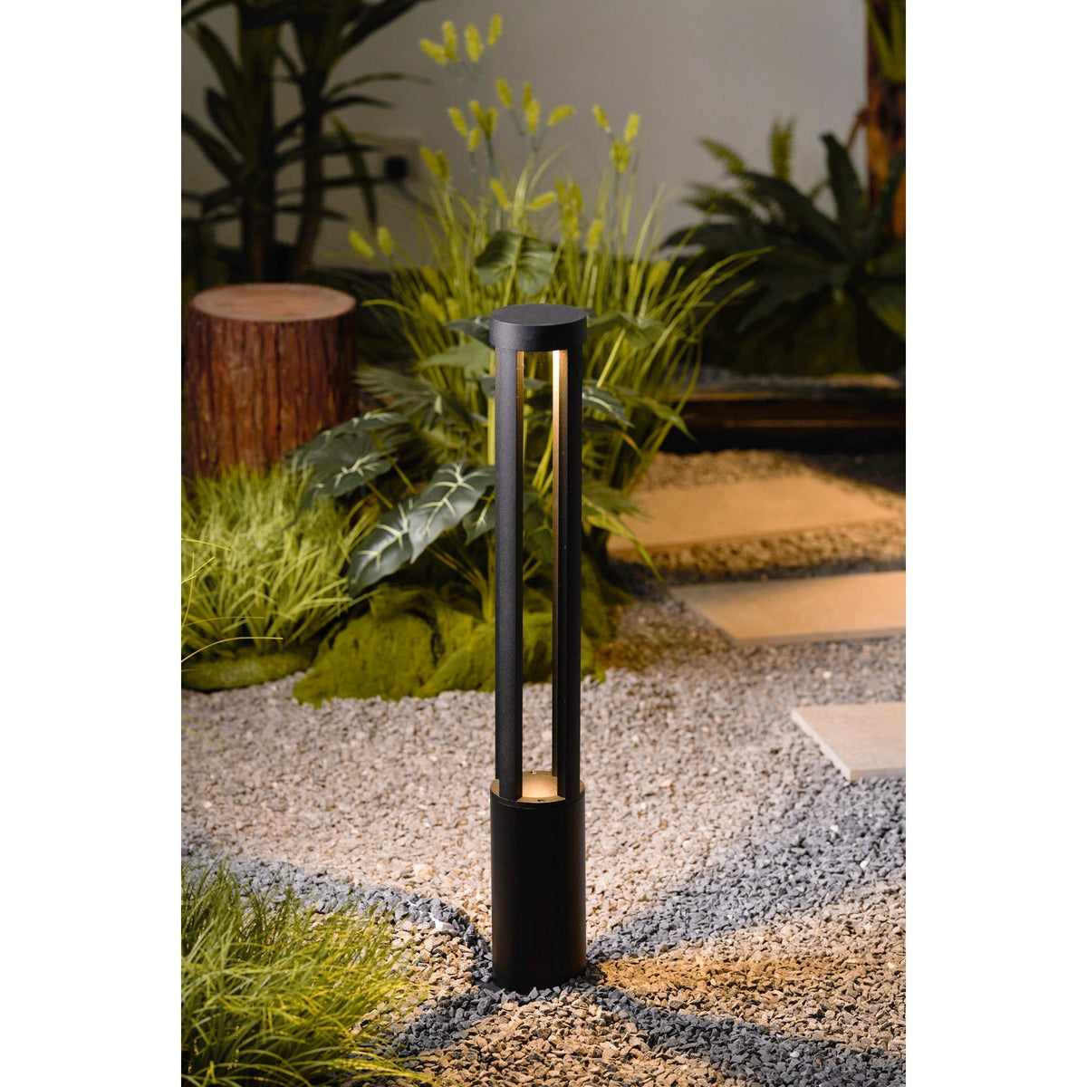 Noreiella luminaria exterior