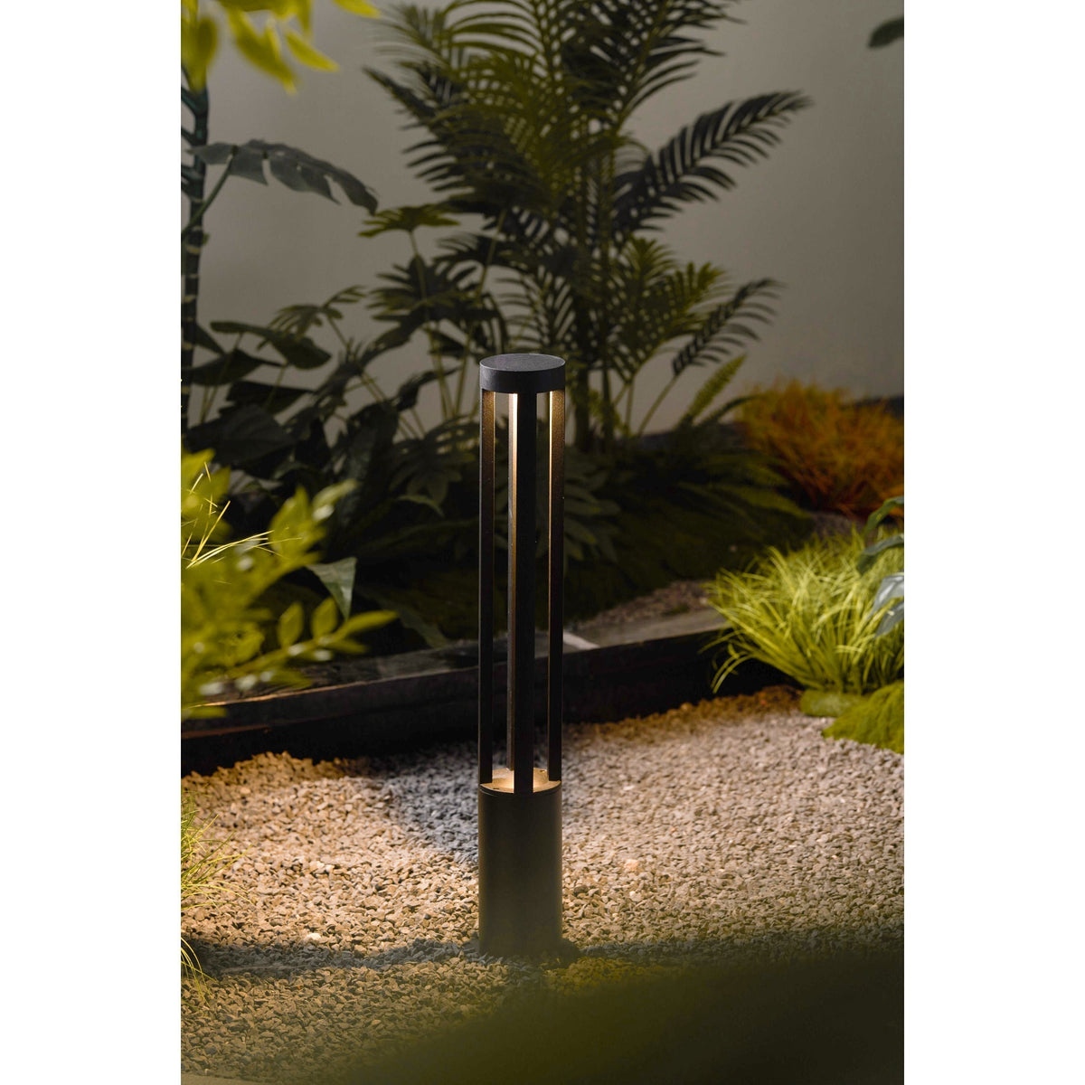 Noreiella luminaria exterior