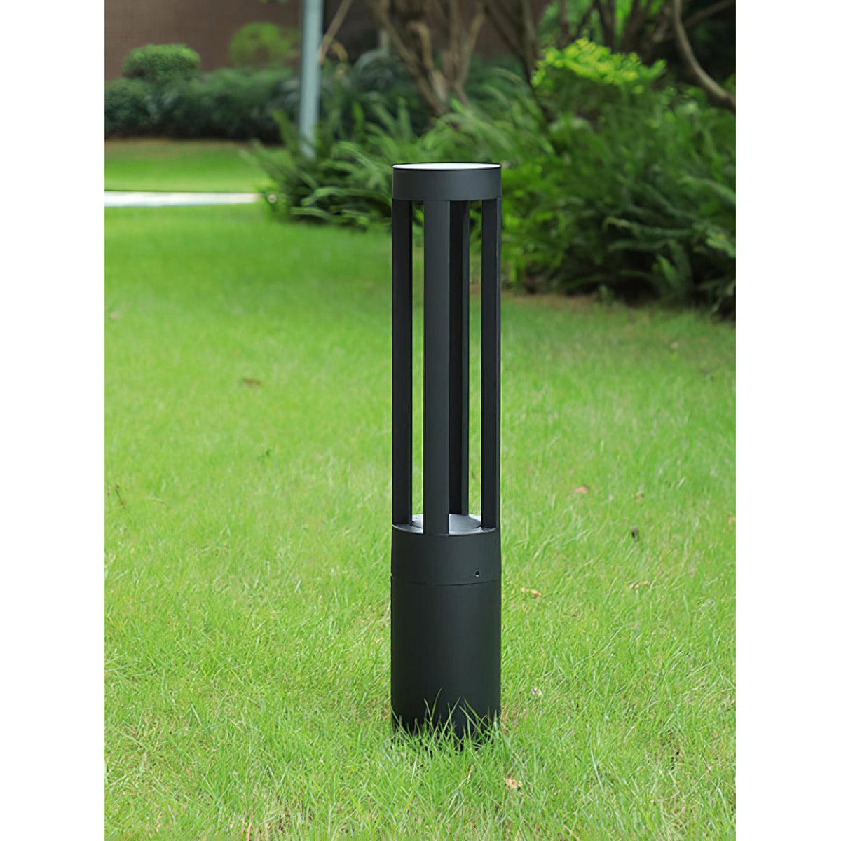 Noreiella luminaria exterior