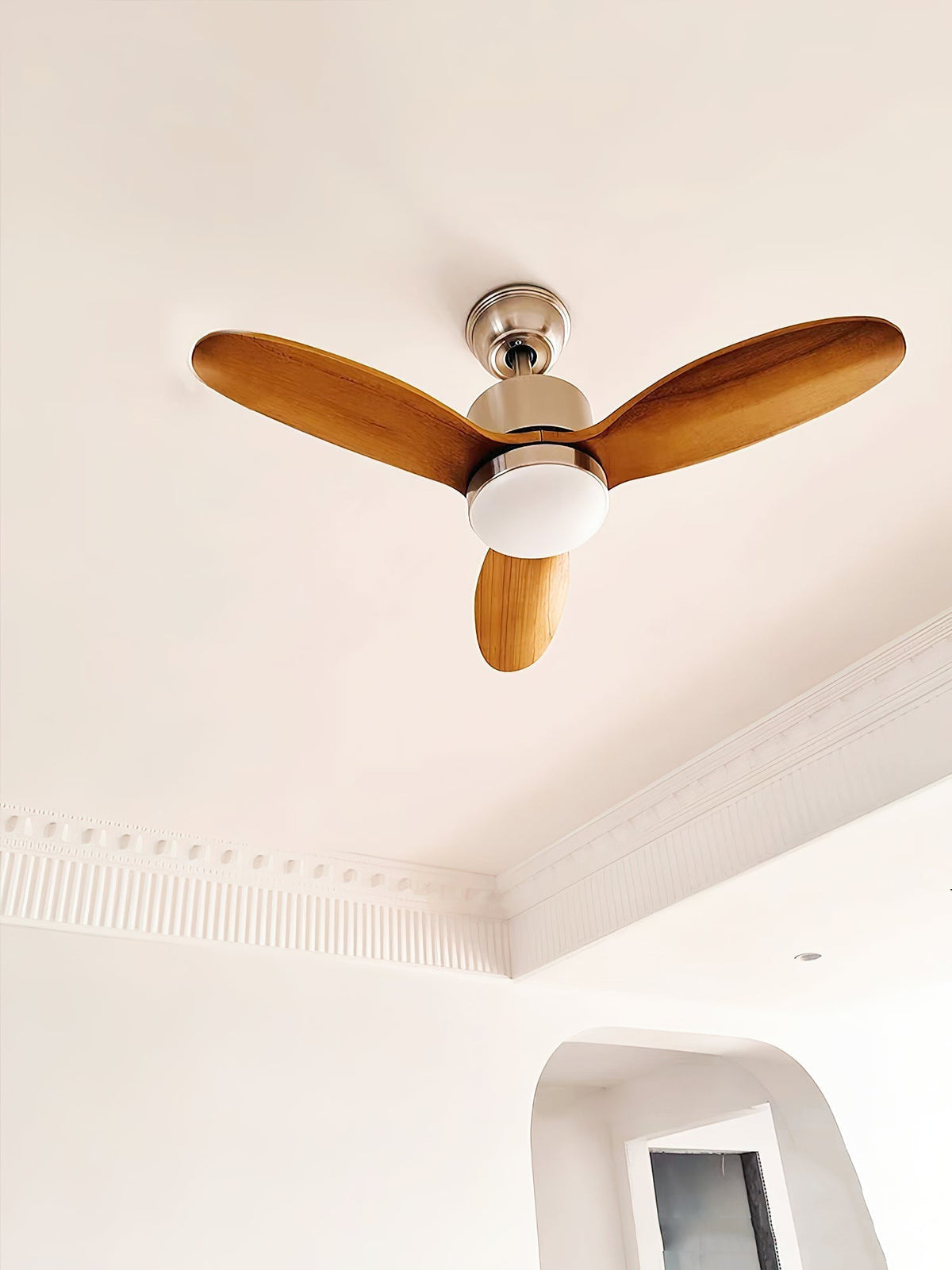 Rivaraine ventilador de techo con luz
