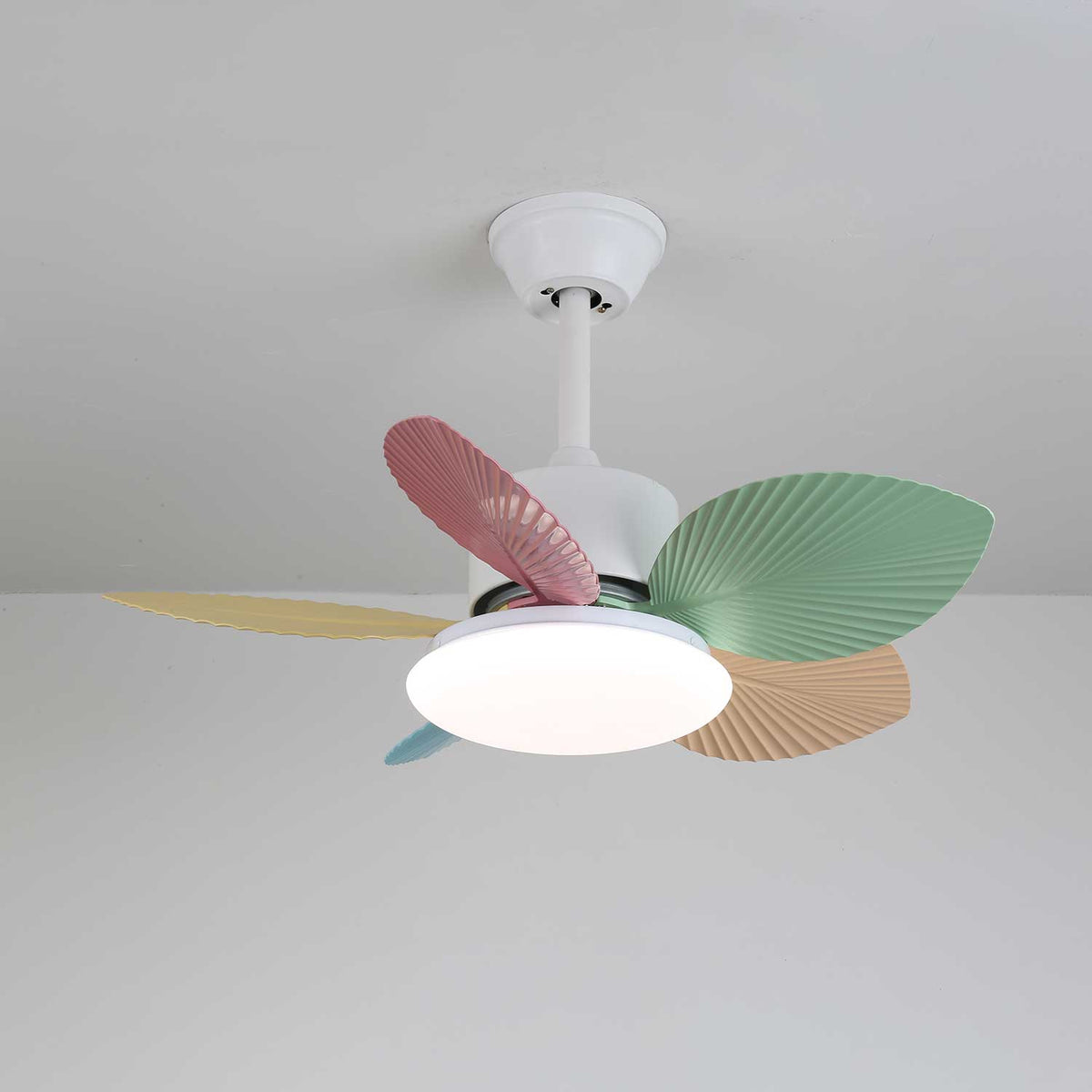 Celoia ventilador de techo con luz de vidrio colorido