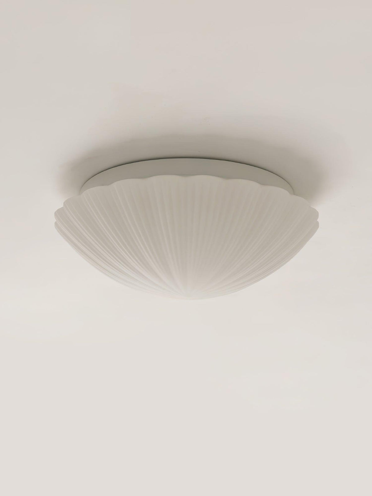 Elo lámpara de techo forma de concha ribeteada suave elegante