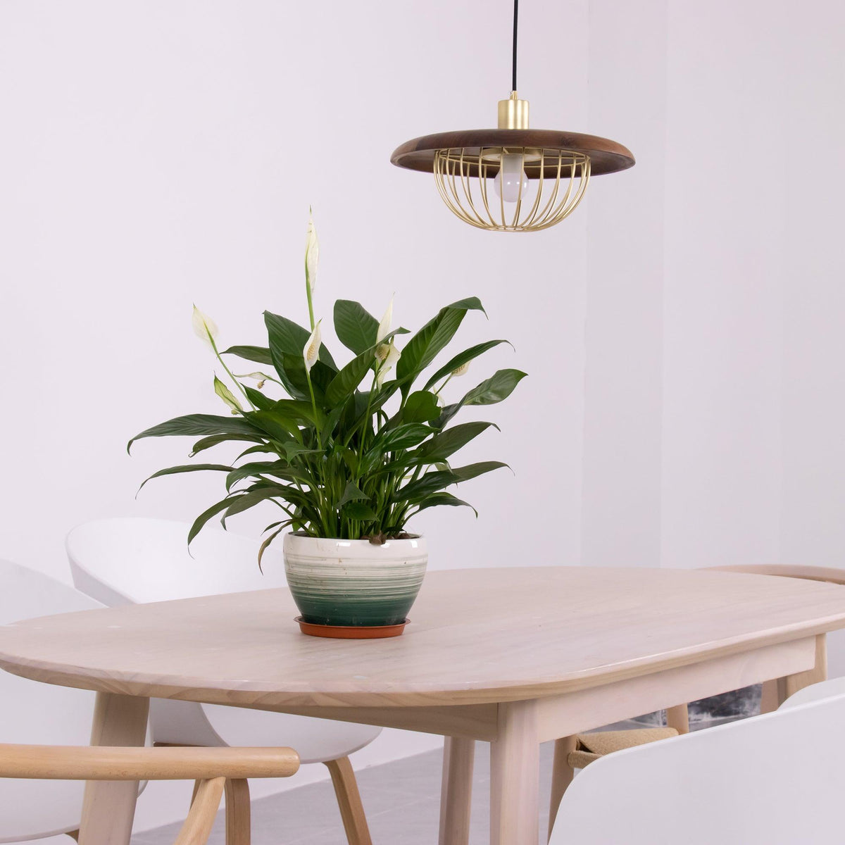 Rinoira lámpara colgante de madera estilo retro vintage