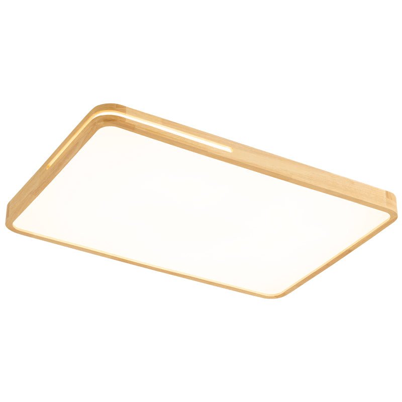 Vizoros lámpara de techo moderna minimalista