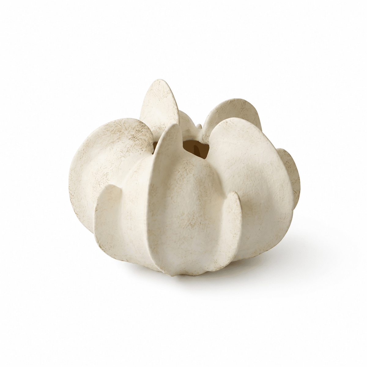Magnolia Maceta escultórica de cerámica floración