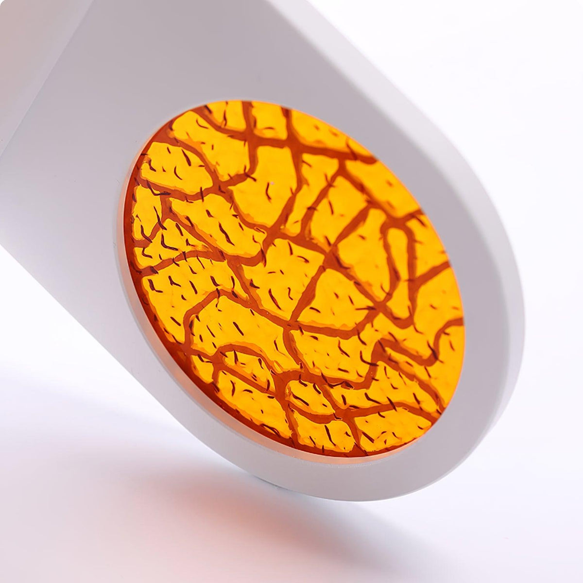 Caloaria aplique de pared LED con interruptor ON/OFF