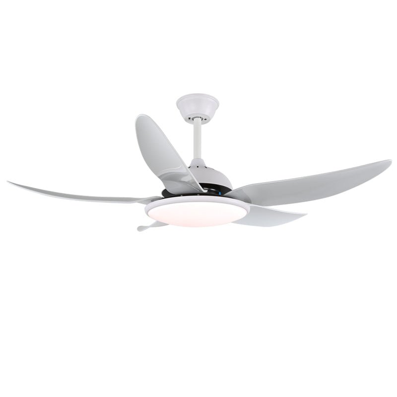Aquila ventilador de techo con luz moderno
