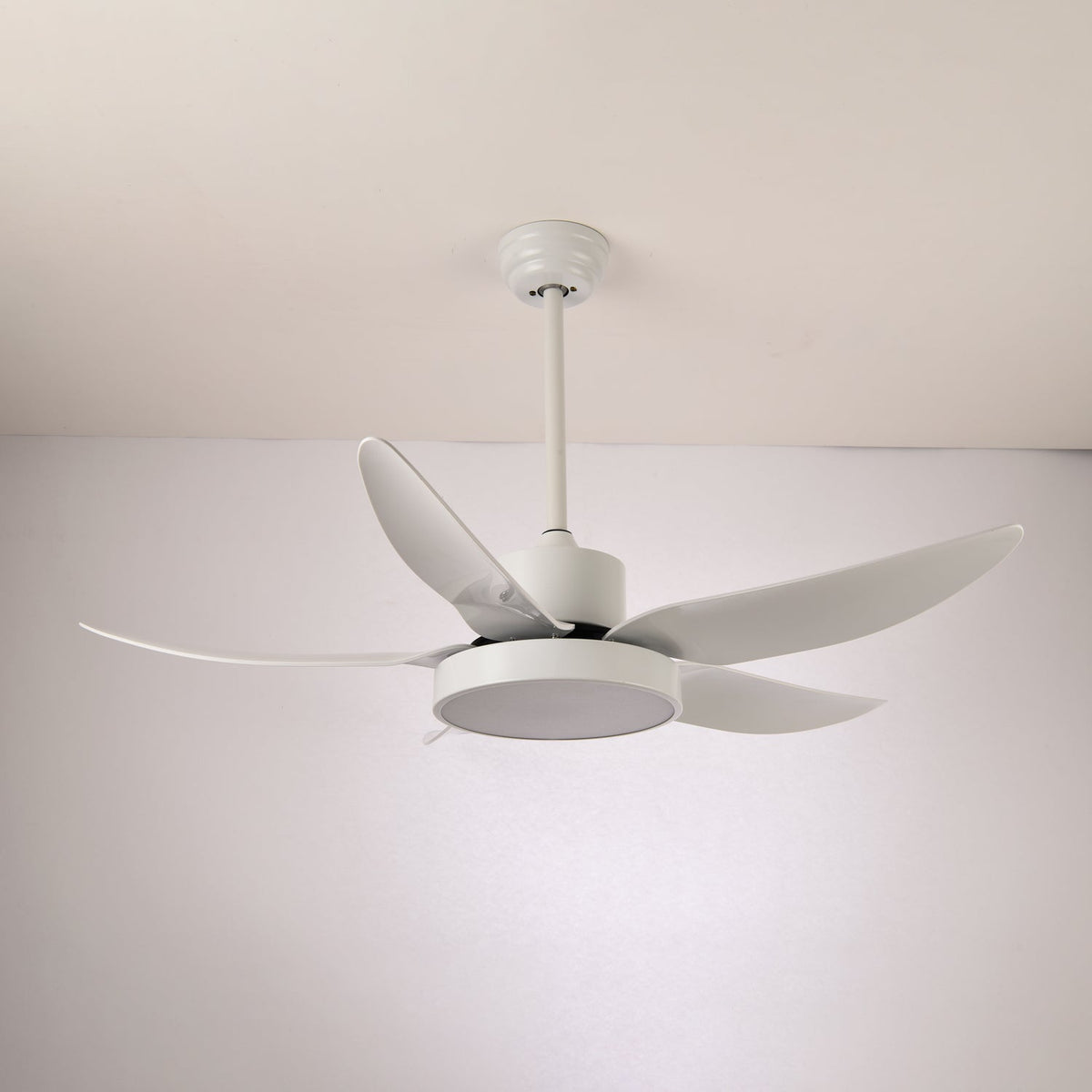 Selalise ventilador de techo con luz moderno