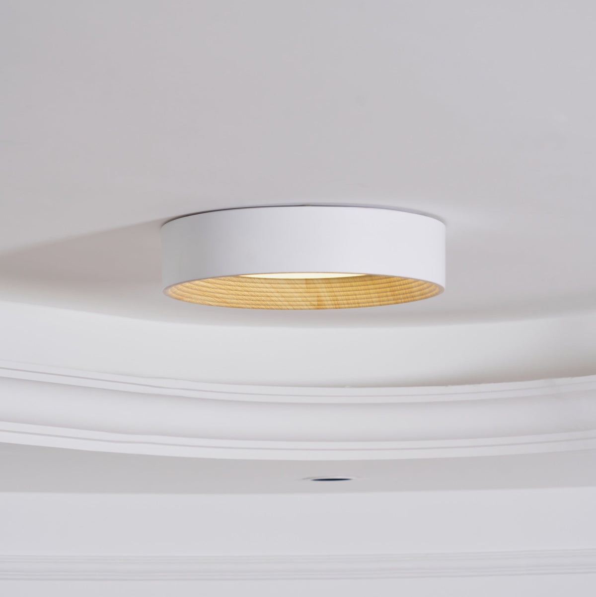 Elvirelle lámpara de techo anillo de madera minimalista regulable