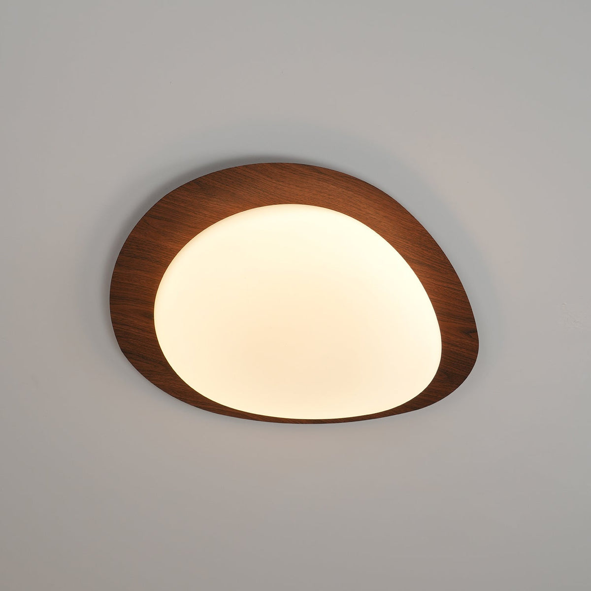 Sylenia lámpara de techo Pebble en nogal con acabado de grano de madera y pantalla de acrílico LED