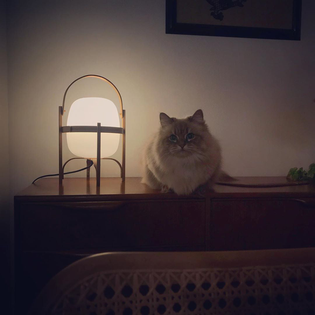 Lethra lámpara de mesa de madera y vidrio