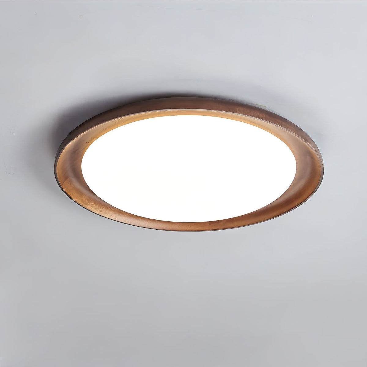 Oculus plafón