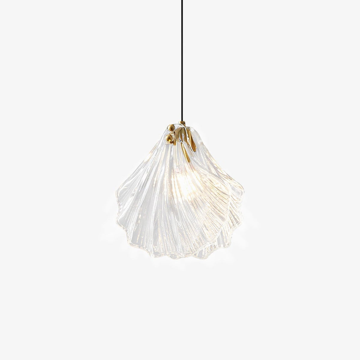 Veda lámpara colgante de vidrio con caparazón artístico y elegante
