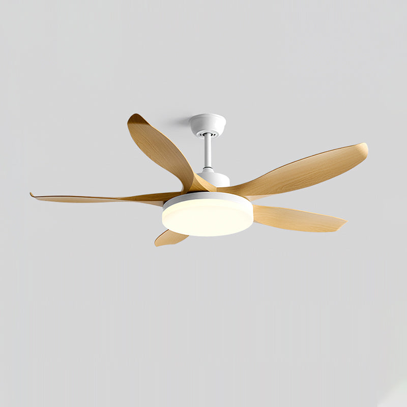 Liororeria ventilador de techo con luz