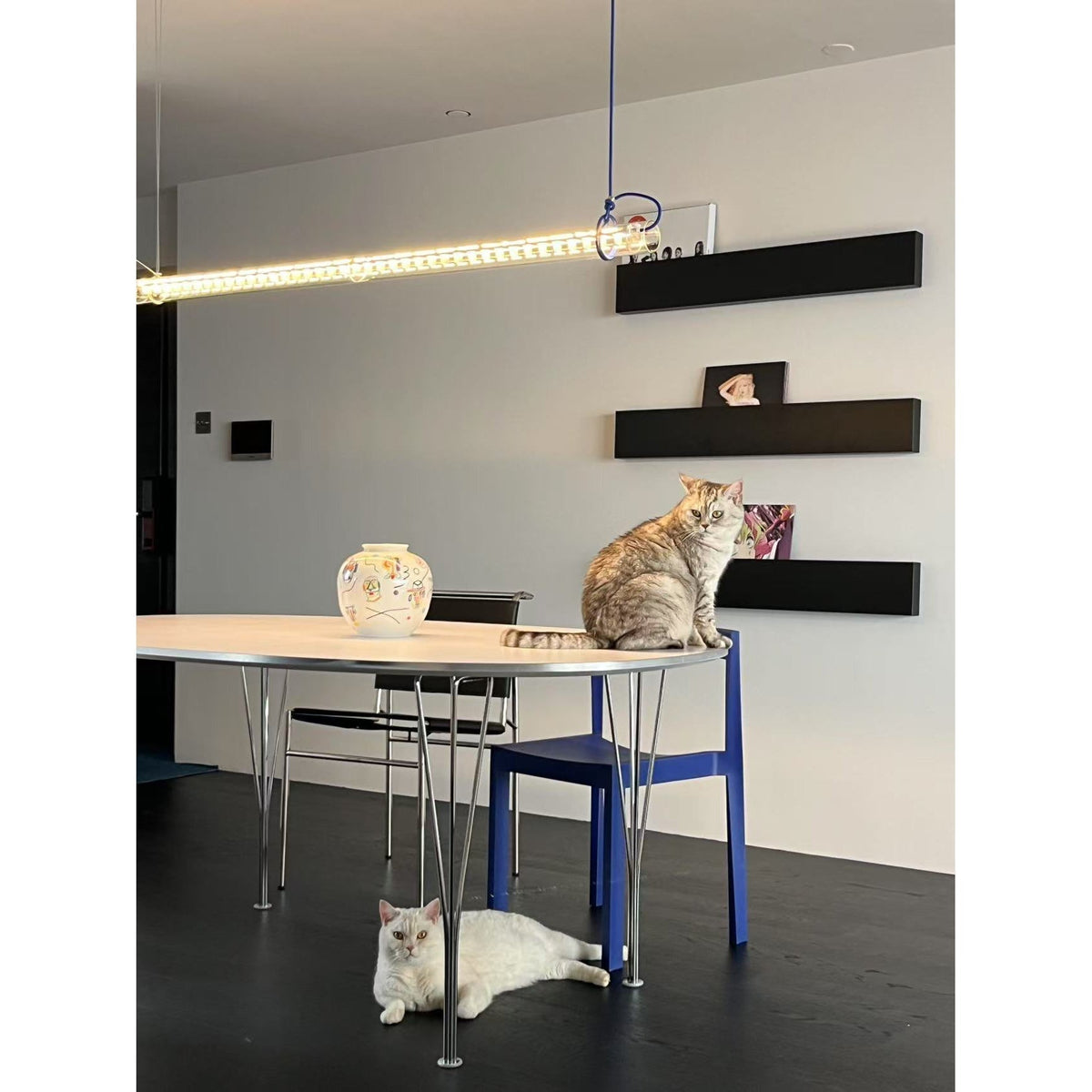 Cata Lámpara Colgante Minimalista Lineal LED