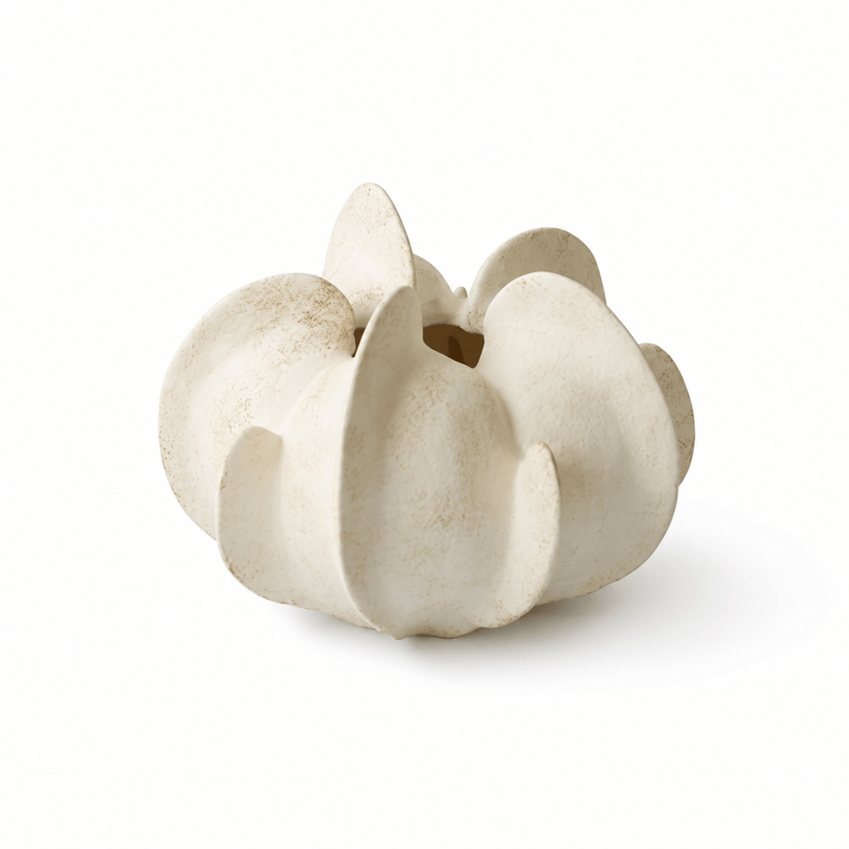 Magnolia Maceta escultórica de cerámica floración