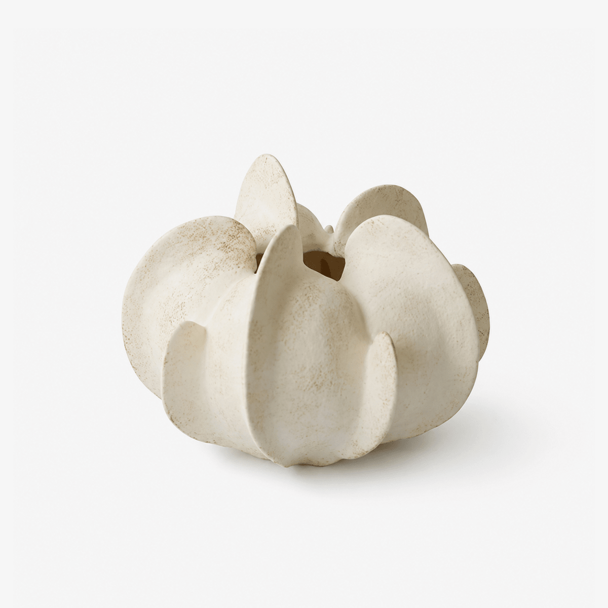 Magnolia Maceta escultórica de cerámica floración