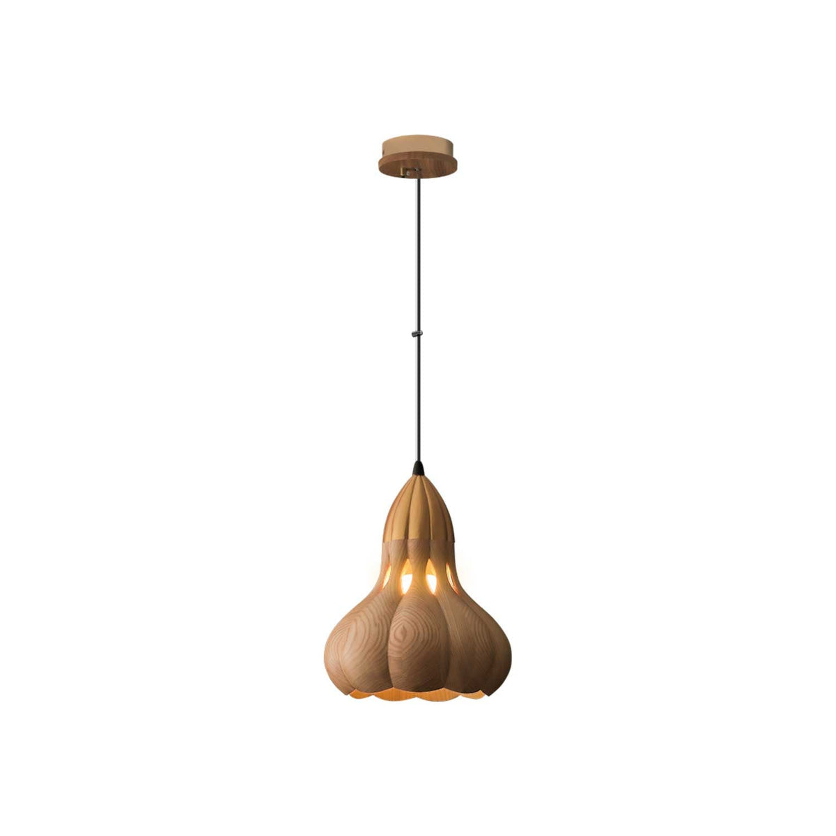 Arraeion lámpara colgante Individual Creatividad de madera