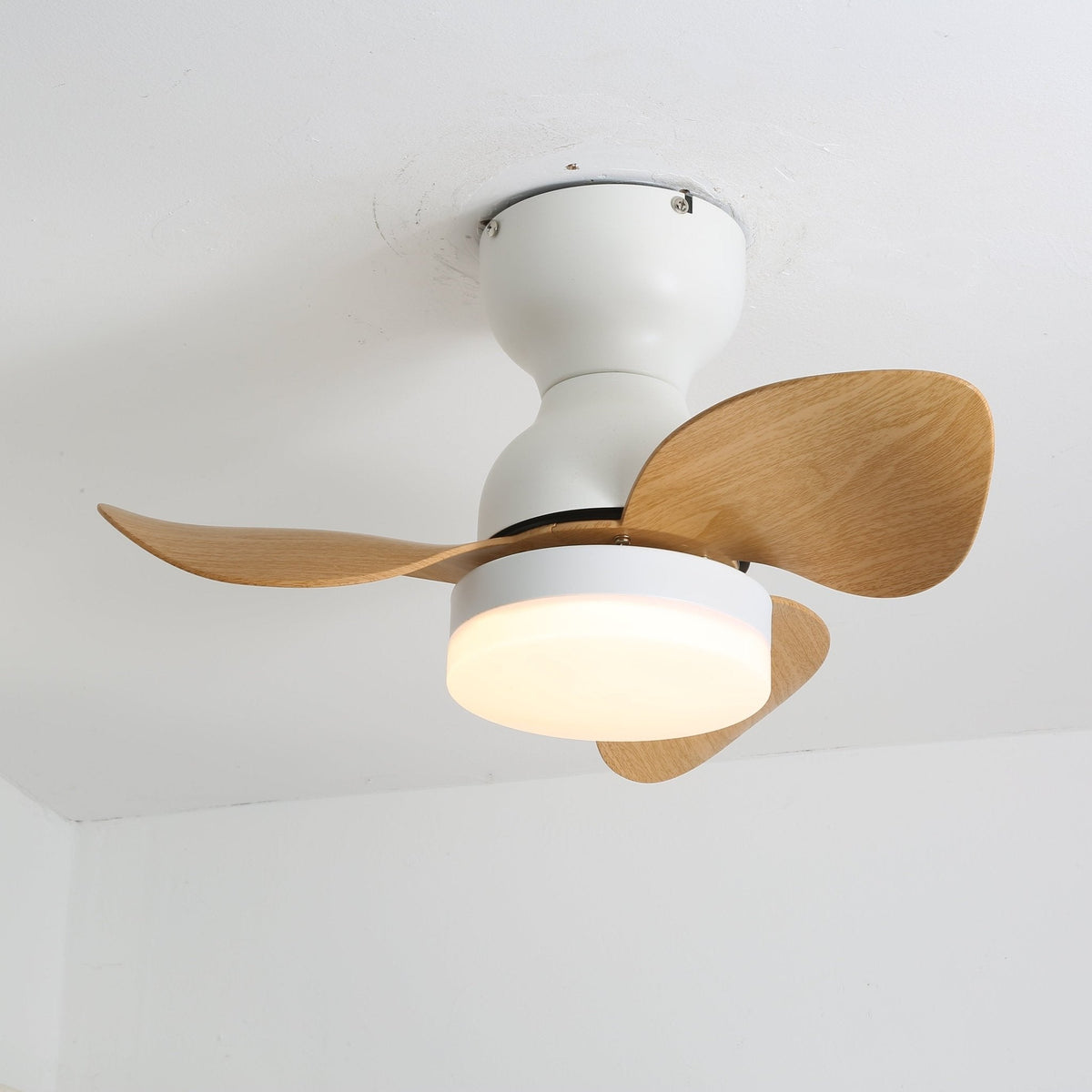 Renuina ventilador de techo con luz