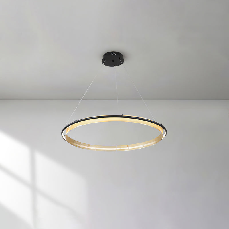 Erveliel lámpara de araña moderna minimalista LED redonda