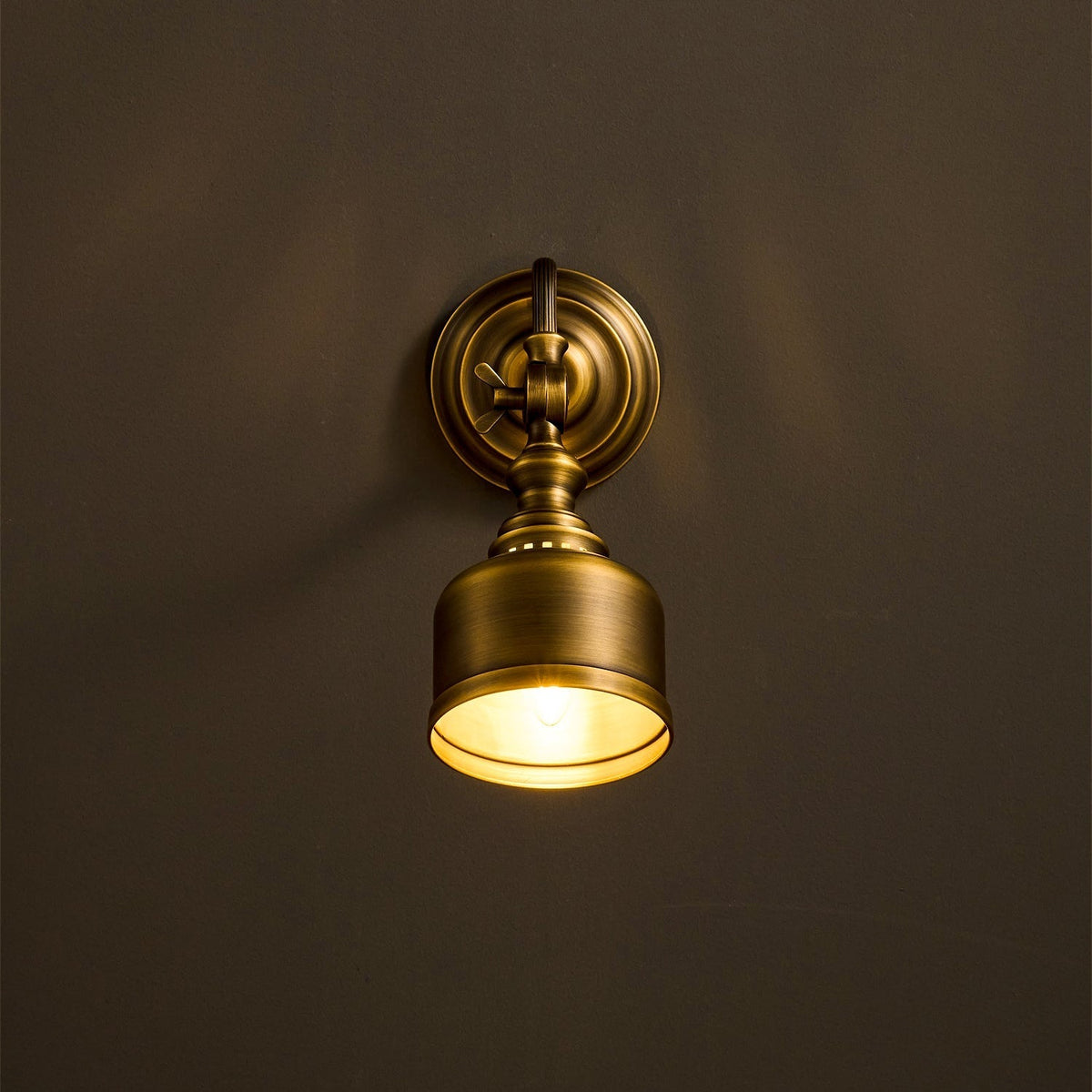 Orelelenne aplique de pared Gooseneck