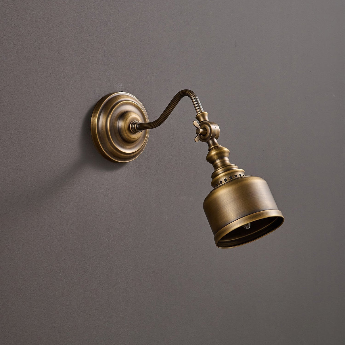 Orelelenne aplique de pared Gooseneck