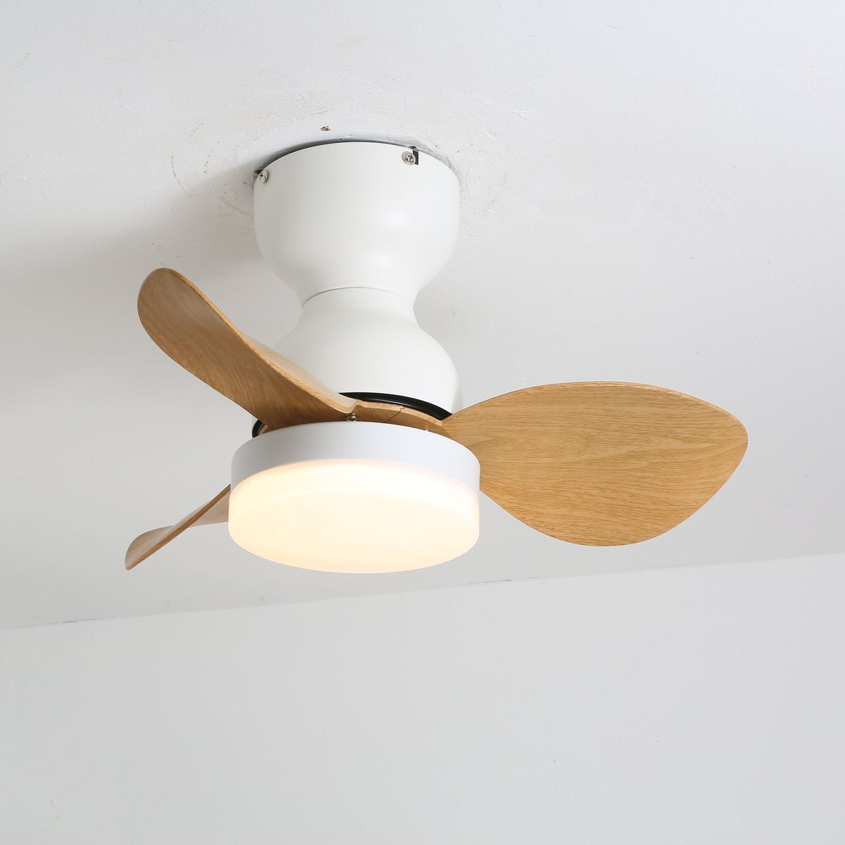 Renuina ventilador de techo con luz