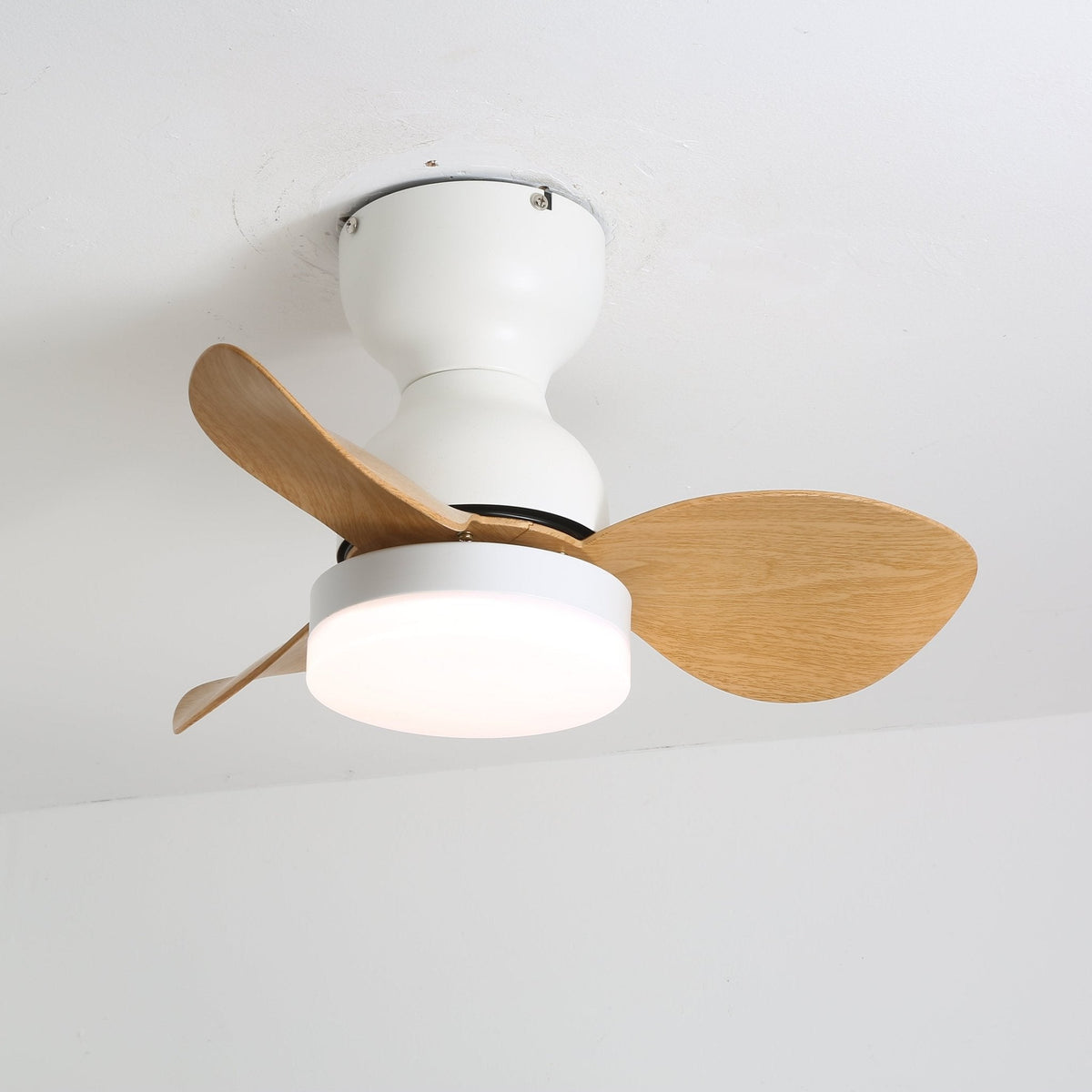 Renuina ventilador de techo con luz