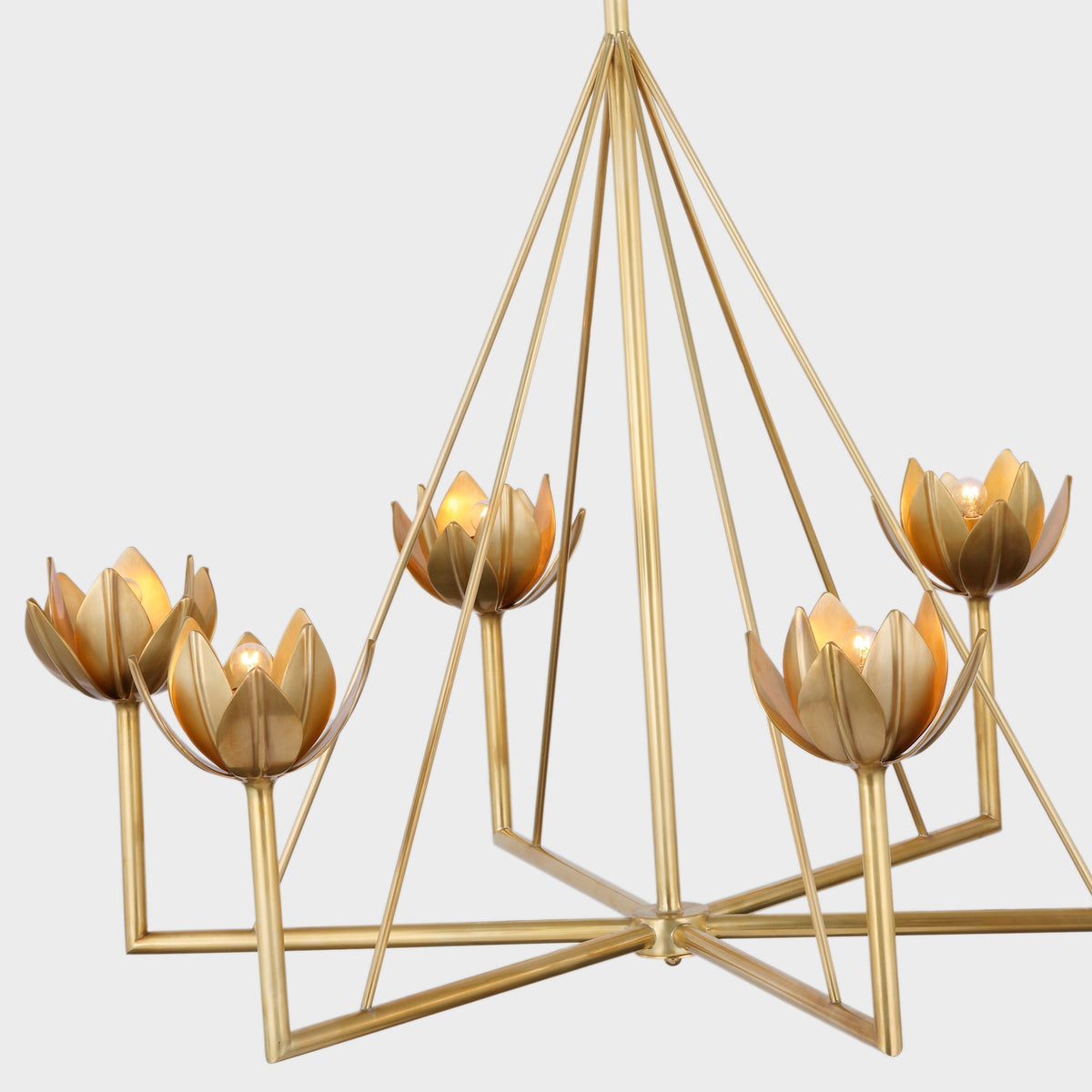 Alberto lámpara de araña moderna minimalista floral en latón