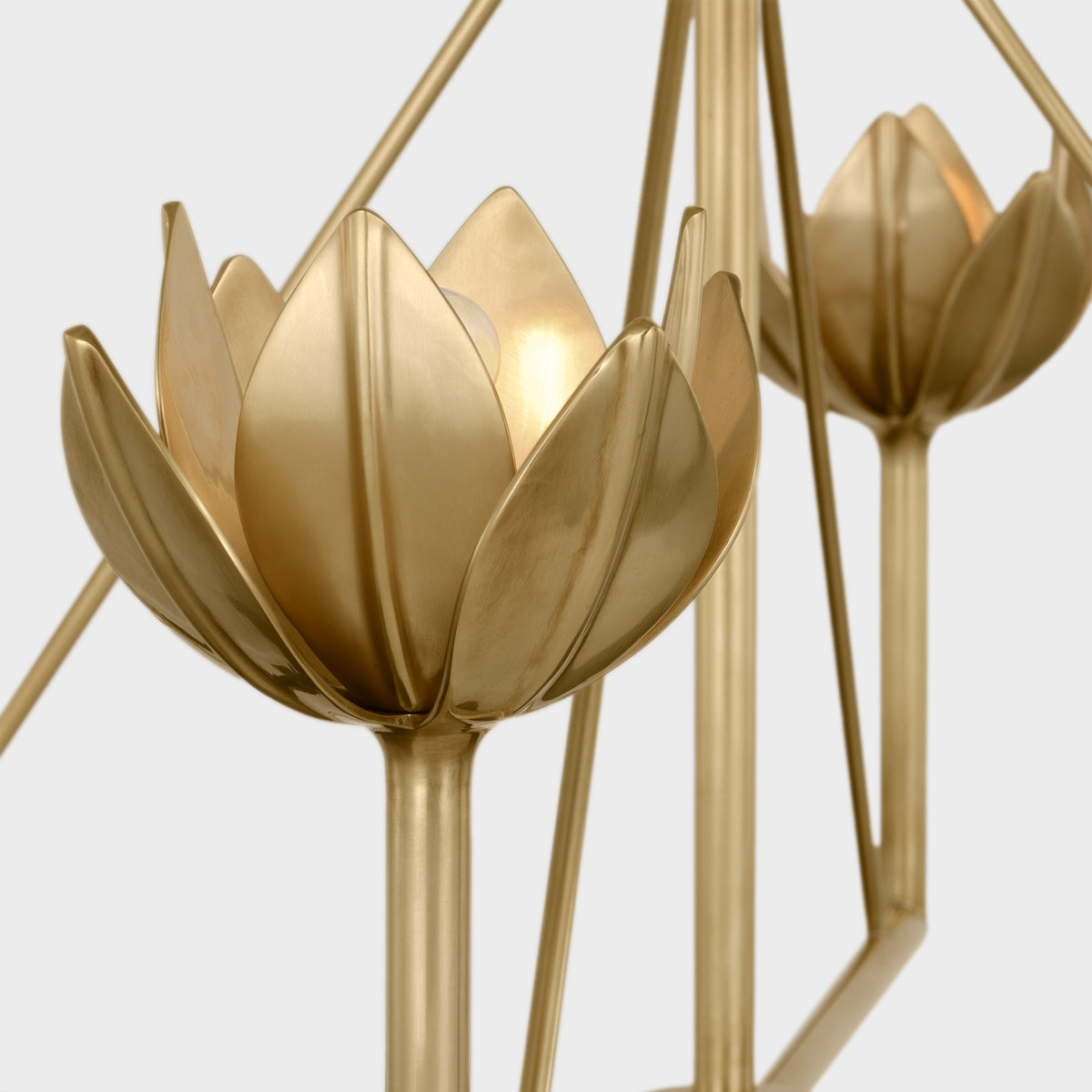 Alberto lámpara de araña moderna minimalista floral en latón
