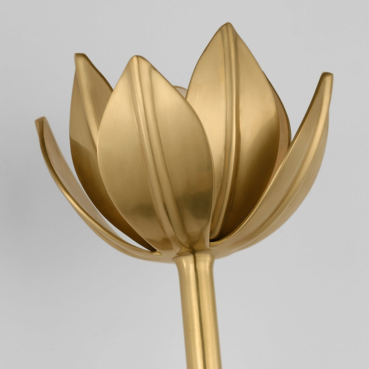 Clira aplique de pared Lotus floración en latón