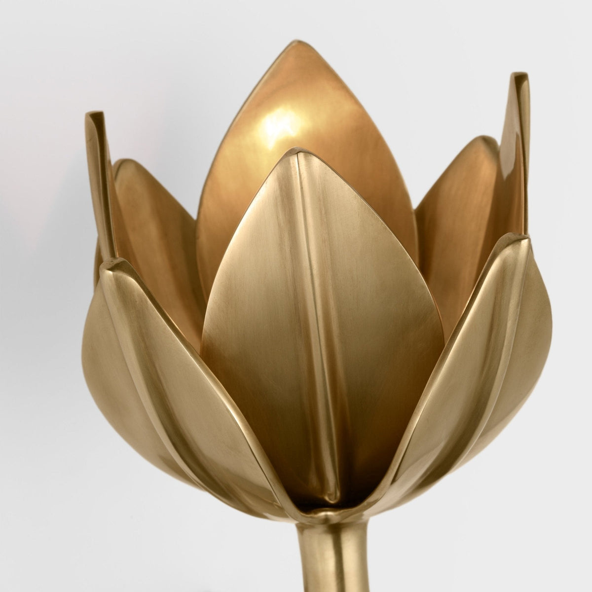 Clira aplique de pared Lotus floración en latón