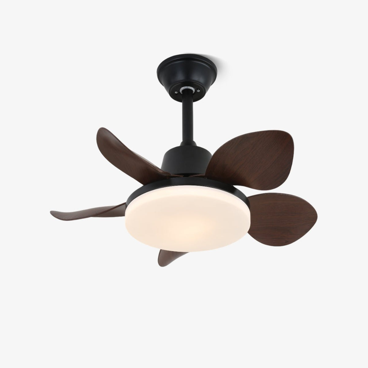 Veyra ventilador de techo con luz moderno de madera