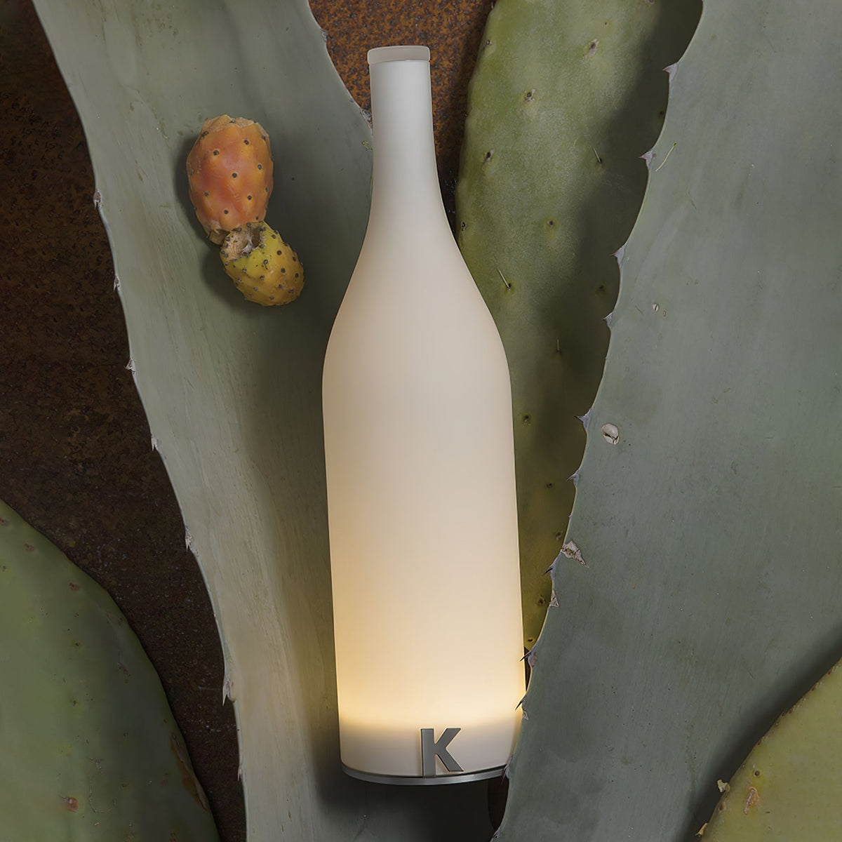Vino lámpara de mesa con batería integrada