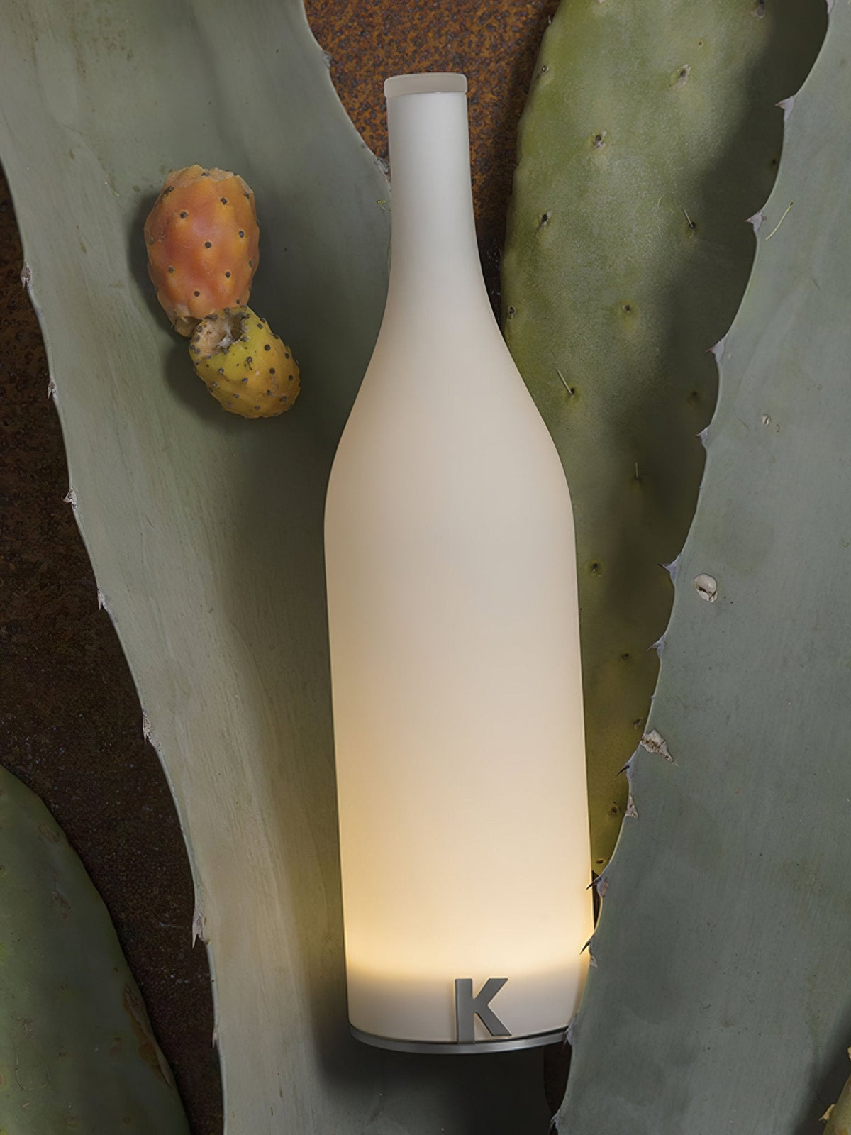 Vino lámpara de mesa con batería integrada