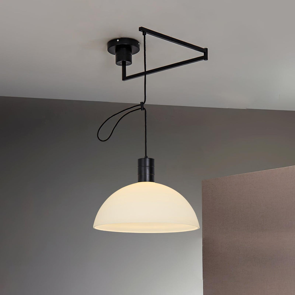 Emino Lámpara Colgante Ajustable Moderno Cúpula Pantalla