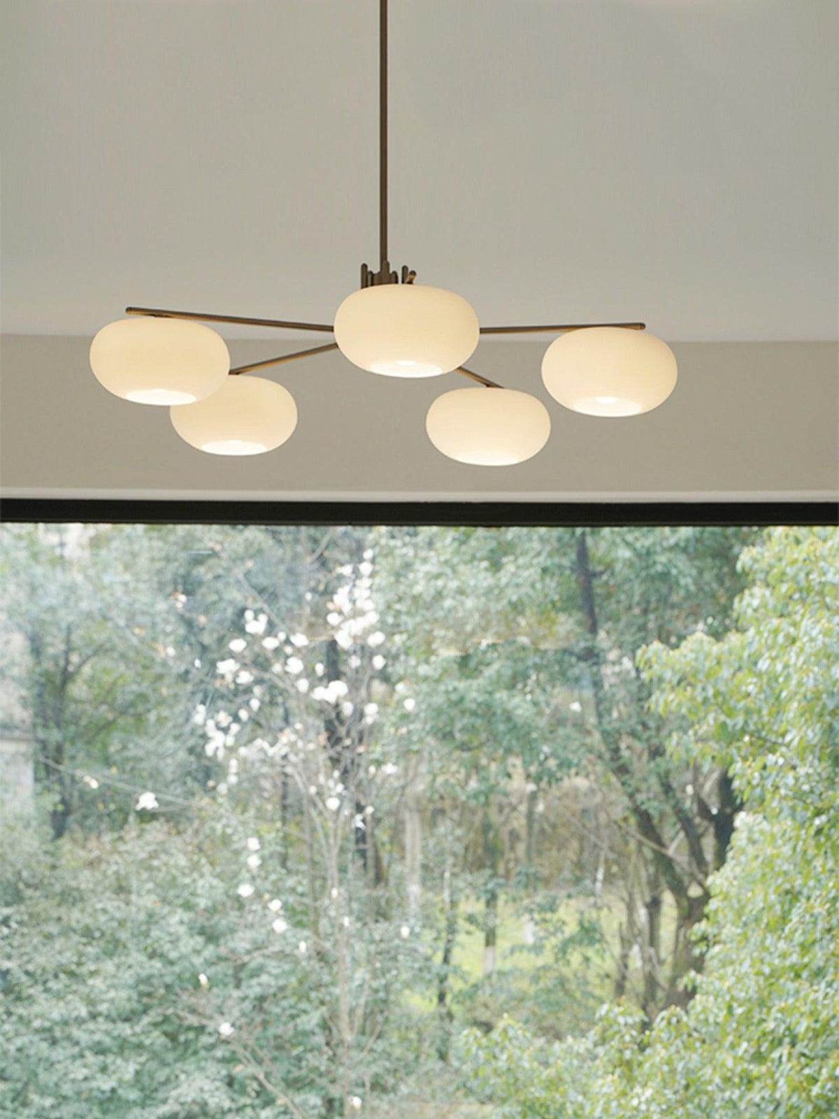 Deloz lámpara de araña Industrial 5-Luces moderna