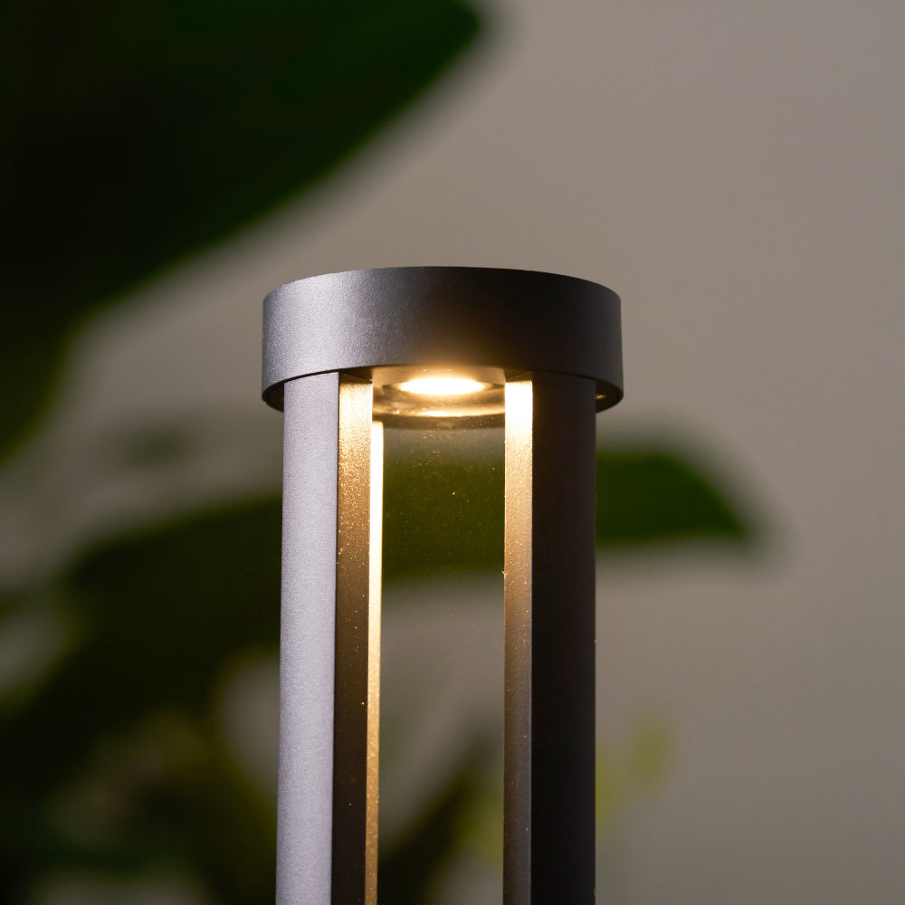 Noreiella luminaria exterior