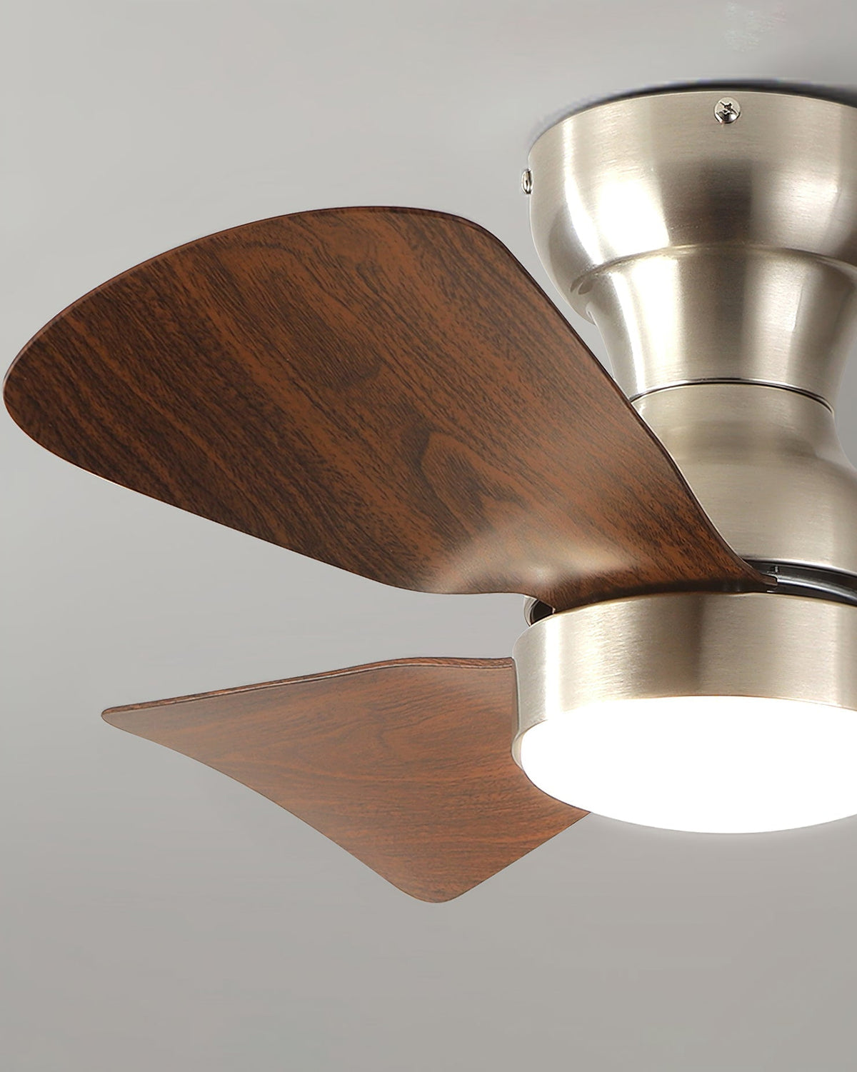 Sterling ventilador de techo con luz