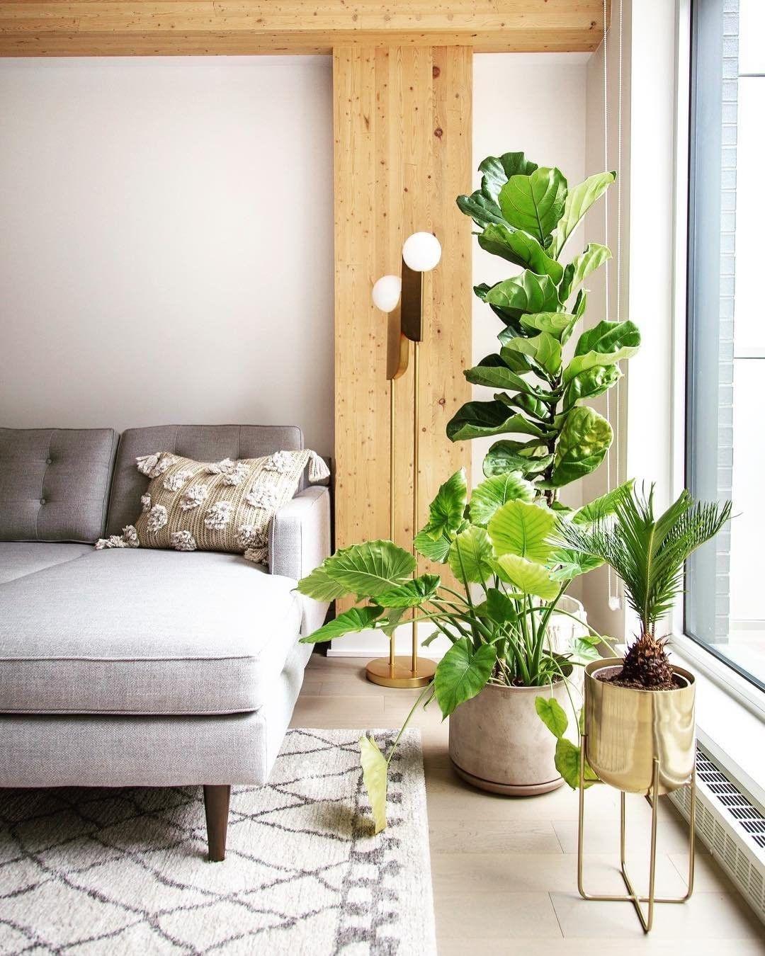 Eirelelia lámpara colgante elegante con vidrio